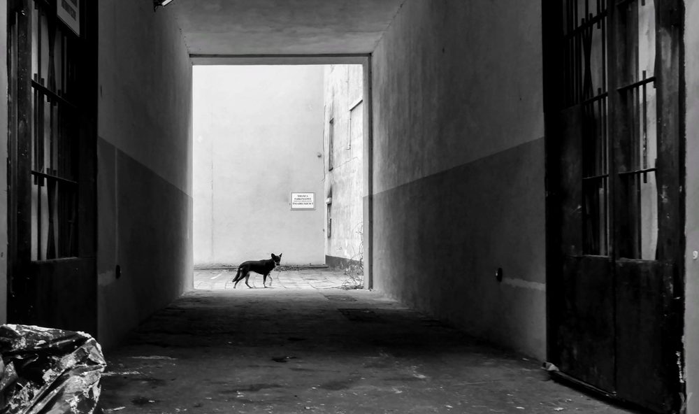 Photograph by Yiannis Manolopoulos — Bydgoszcz · 2017